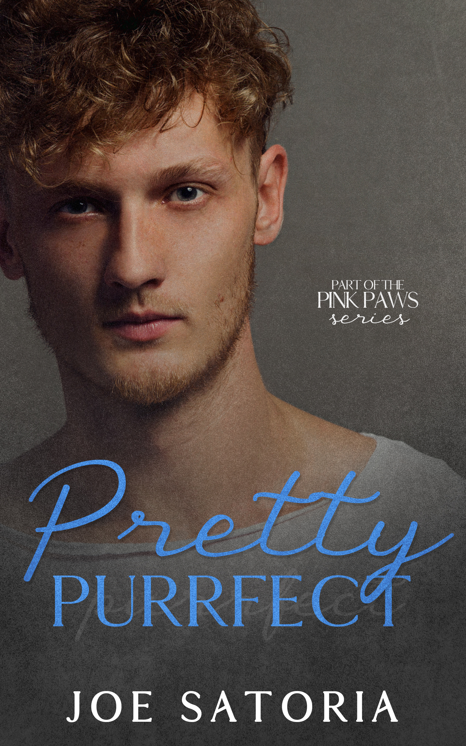 2 - Pretty Purrfect
